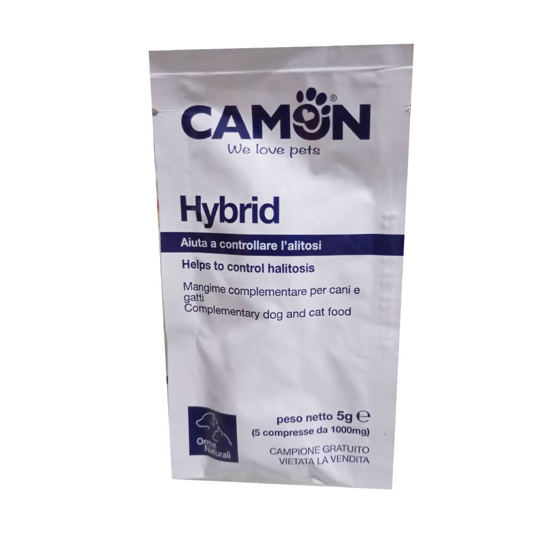 CAMP.OMAG. Hybrid 5 G