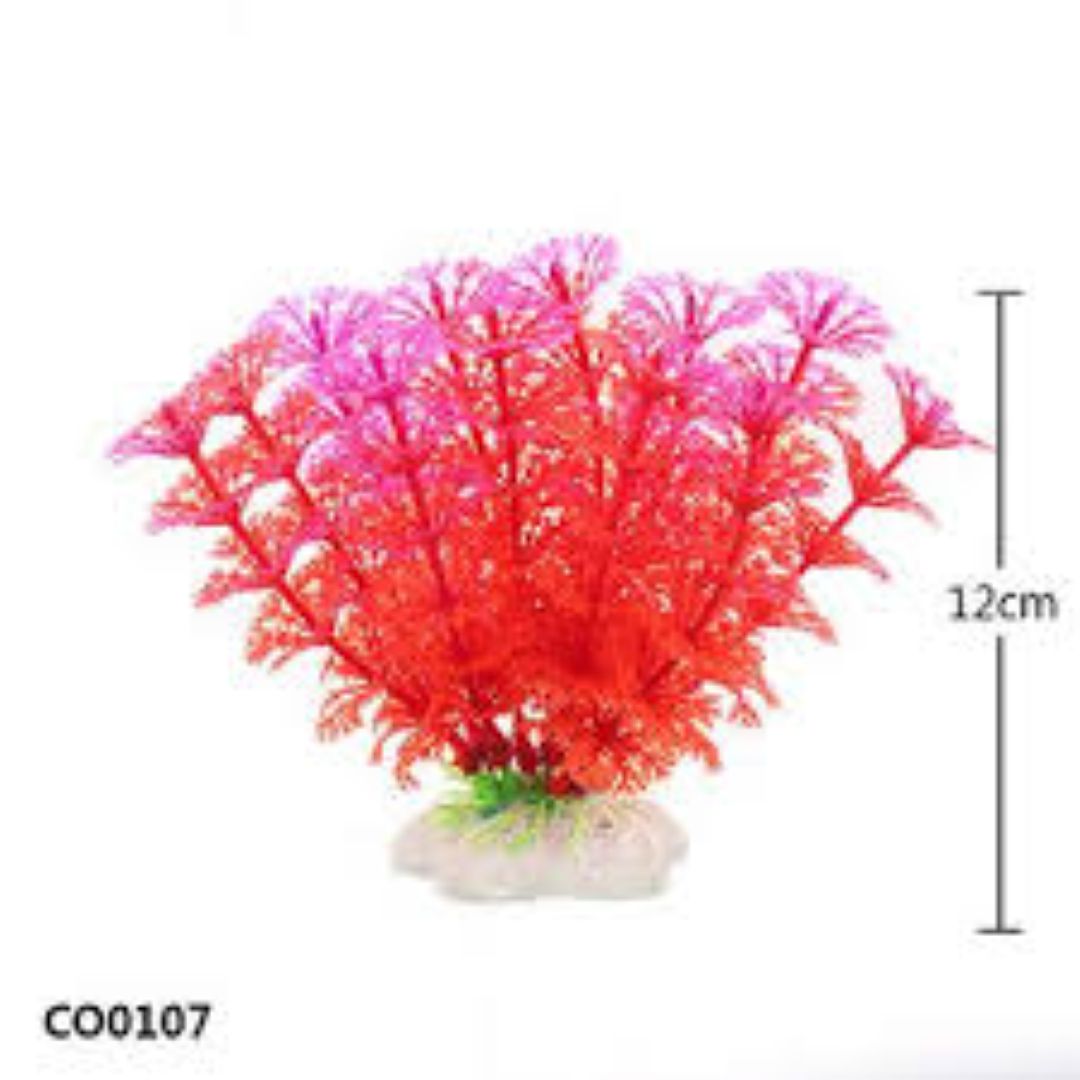 Red & Pink Coral-Like Aquarium Plant