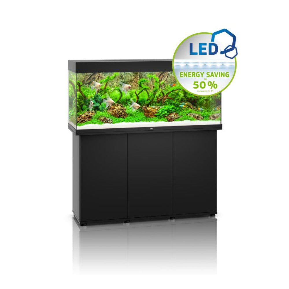 Rio 240 SBX Cabinet - Black & Rio 240 LED - Black