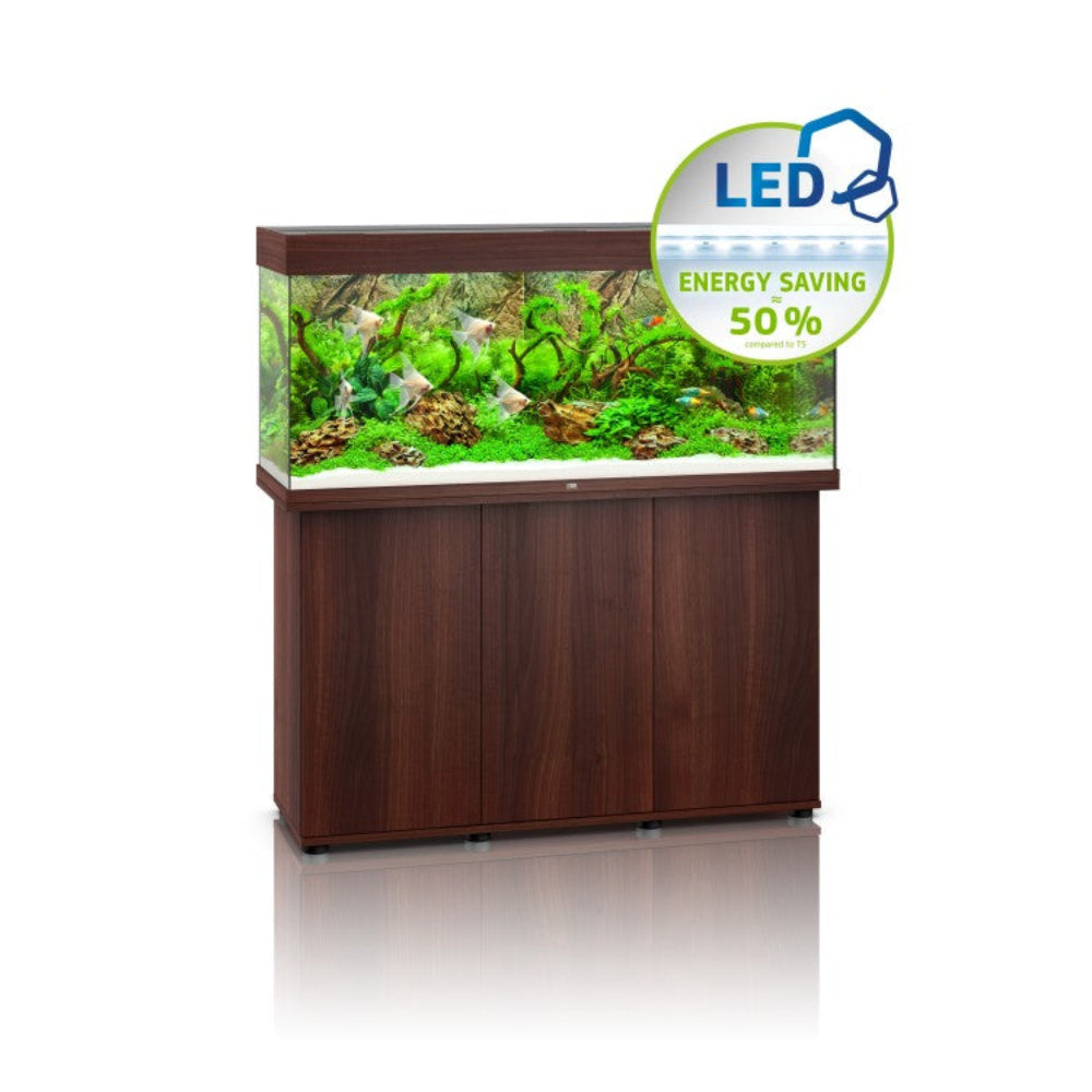 Rio 240 SBX Cabinet - Dark Wood & Rio 240 LED - Dark Wood