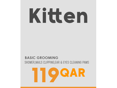 Kitten Grooming basic