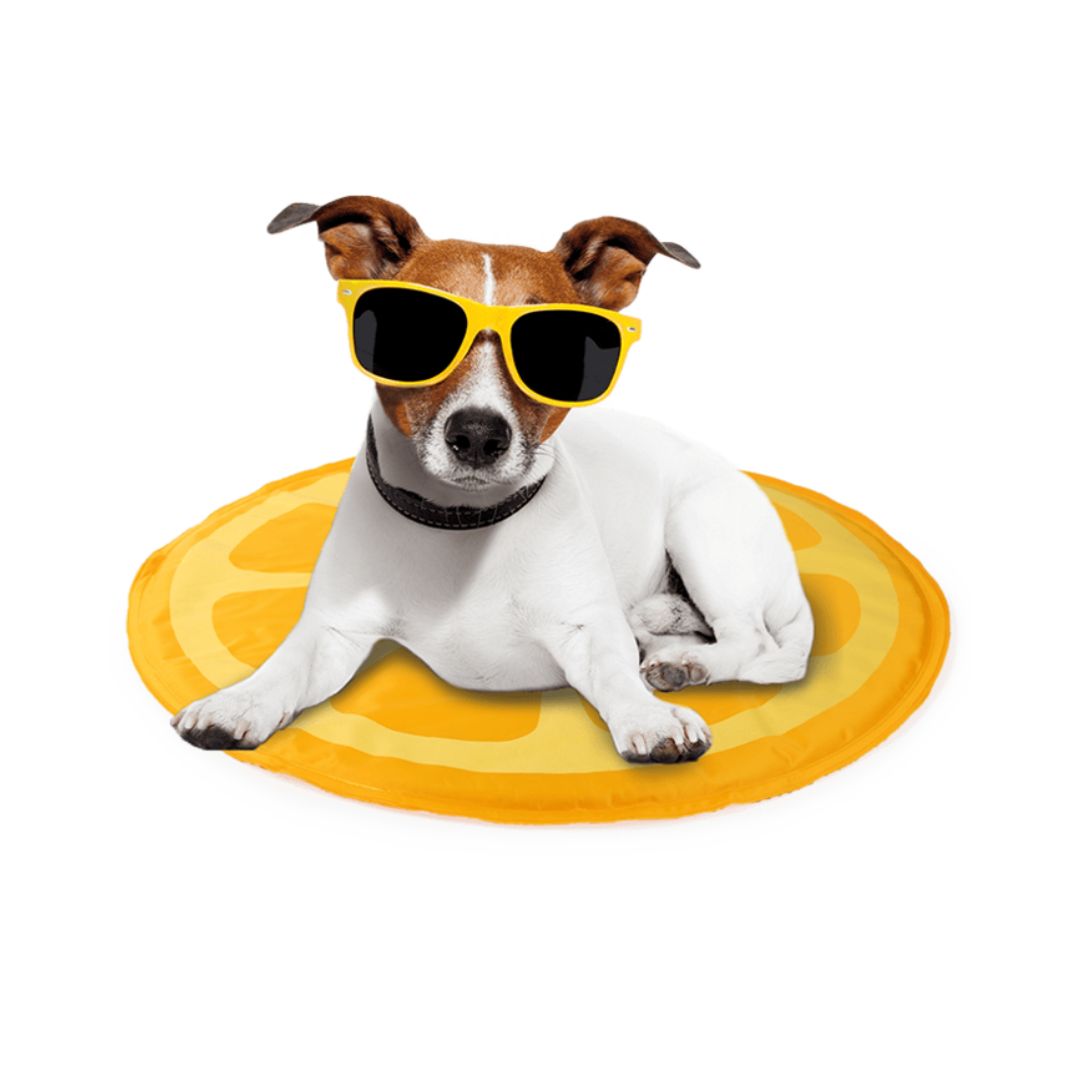 Afb Chill Out - بساط تبريد برتقالي