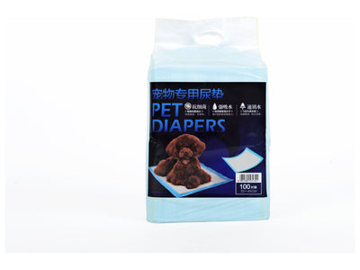 &nbsp;Practical Pet Urine Pad (100 Pieces)