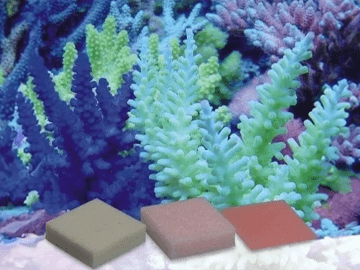 Korallenzucht- مركز عناصر الحديد الأوتوماتيكي 5 قطع 