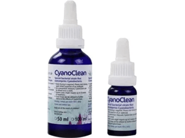 Korallenzucht- Cyanoclean 10ml