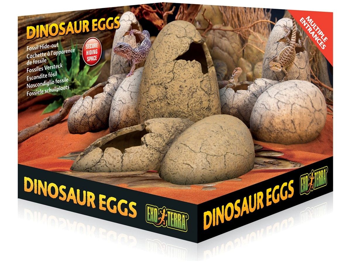 Exo Terra Dinosaur Eggs Fossil Hide Out