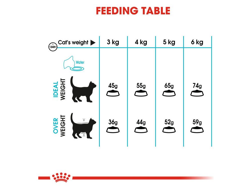 العناية بالقطط تغذية العناية البولية 2 كجم