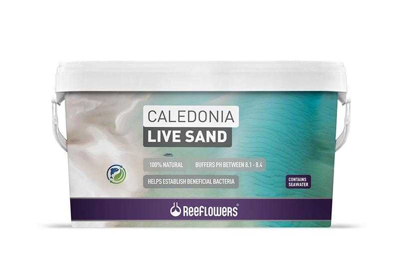 Reeflowers Caledonia Live Sand - Gold 18 kg