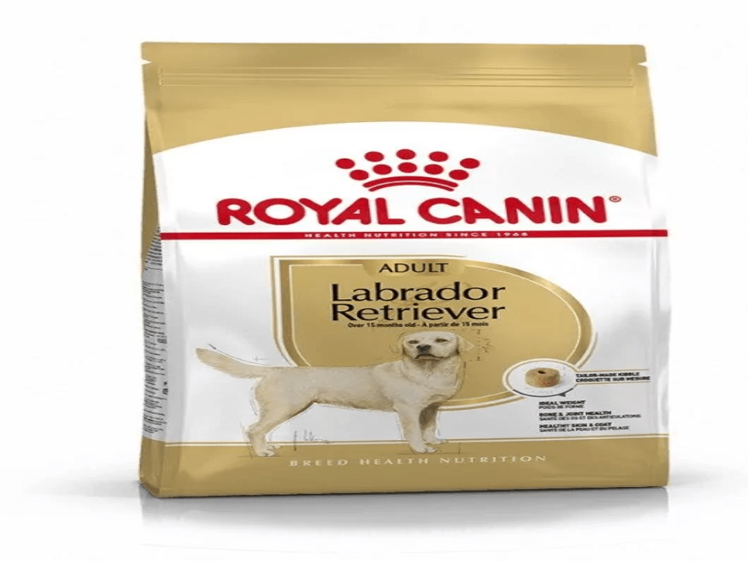 Royal Canine breed health nutrition labrador adult 12 kg