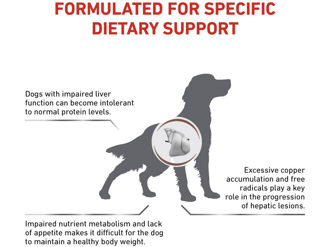 Vet Health Nutrition Canine Hepatic 1.5 KG