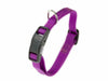 Dog Collar C16/32 – Violet (23-32 cm, B: 16 mm)