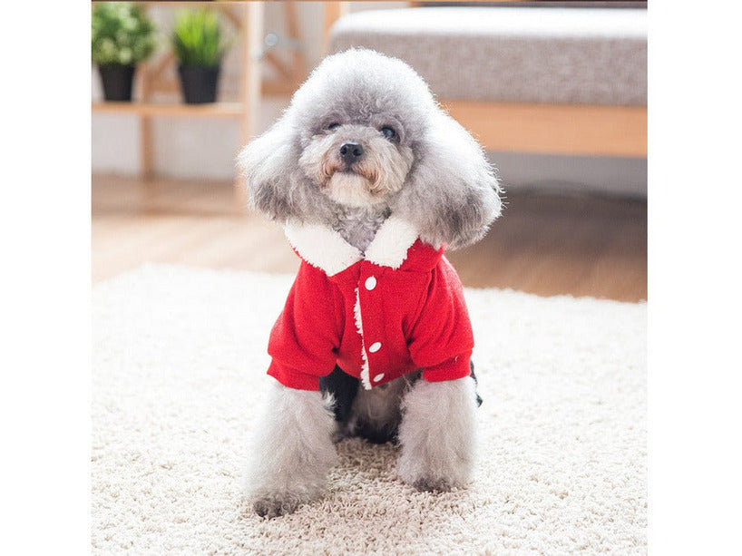 Pet Clothes As Photo Type 2