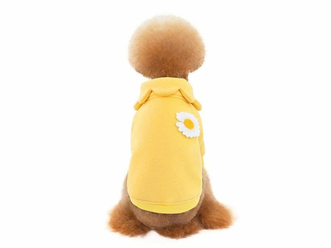 dog clothes Yellow M KLN20014