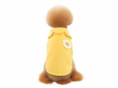 ملابس الكلاب أصفر M KLN20014