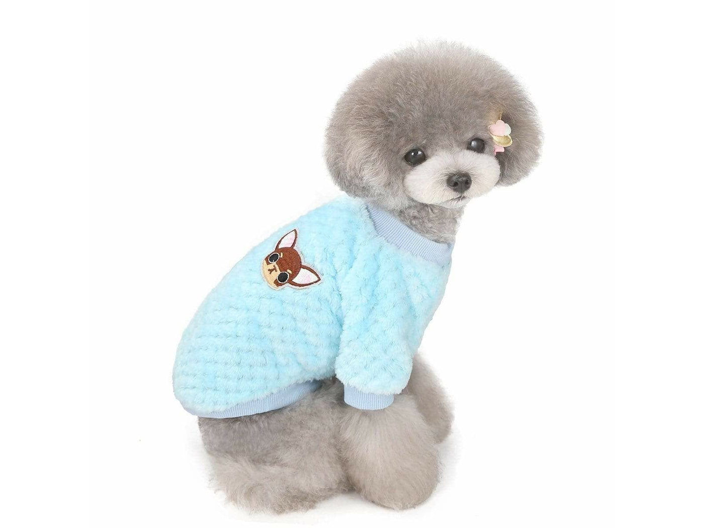 dog clothes Blue S AWYP-202001