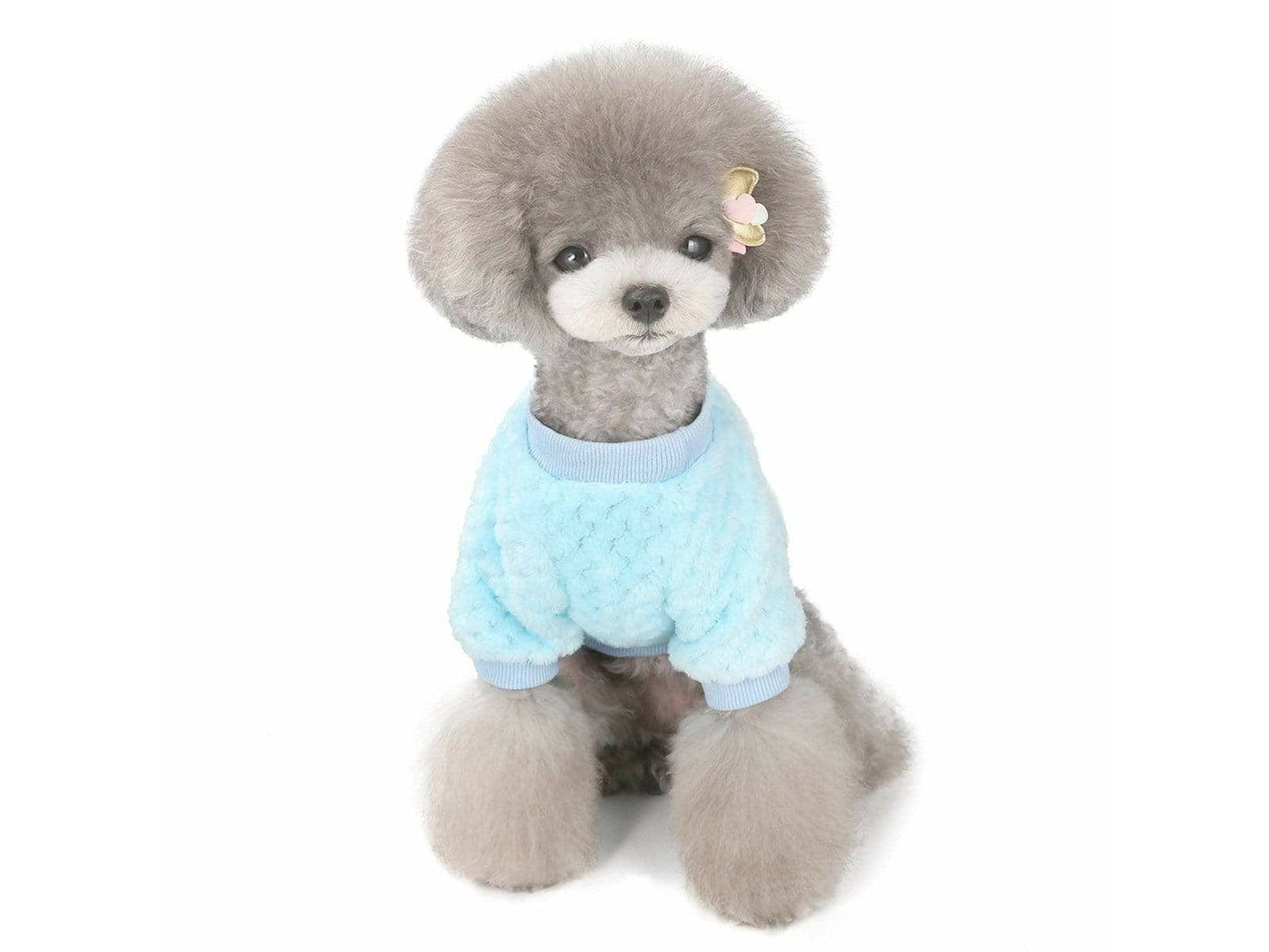 dog clothes Blue M AWYP-202001