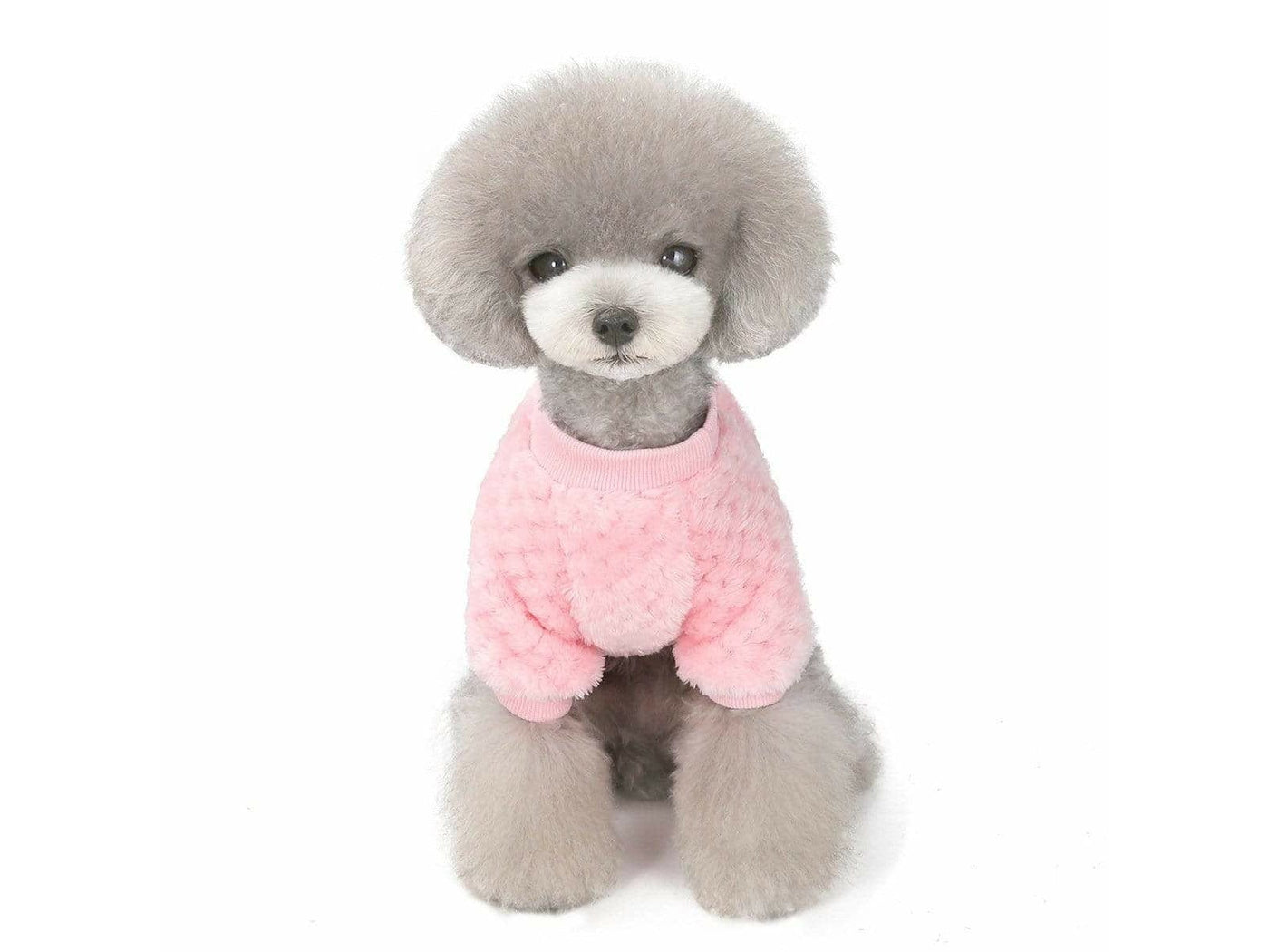dog clothes Pink M AWYP-202001
