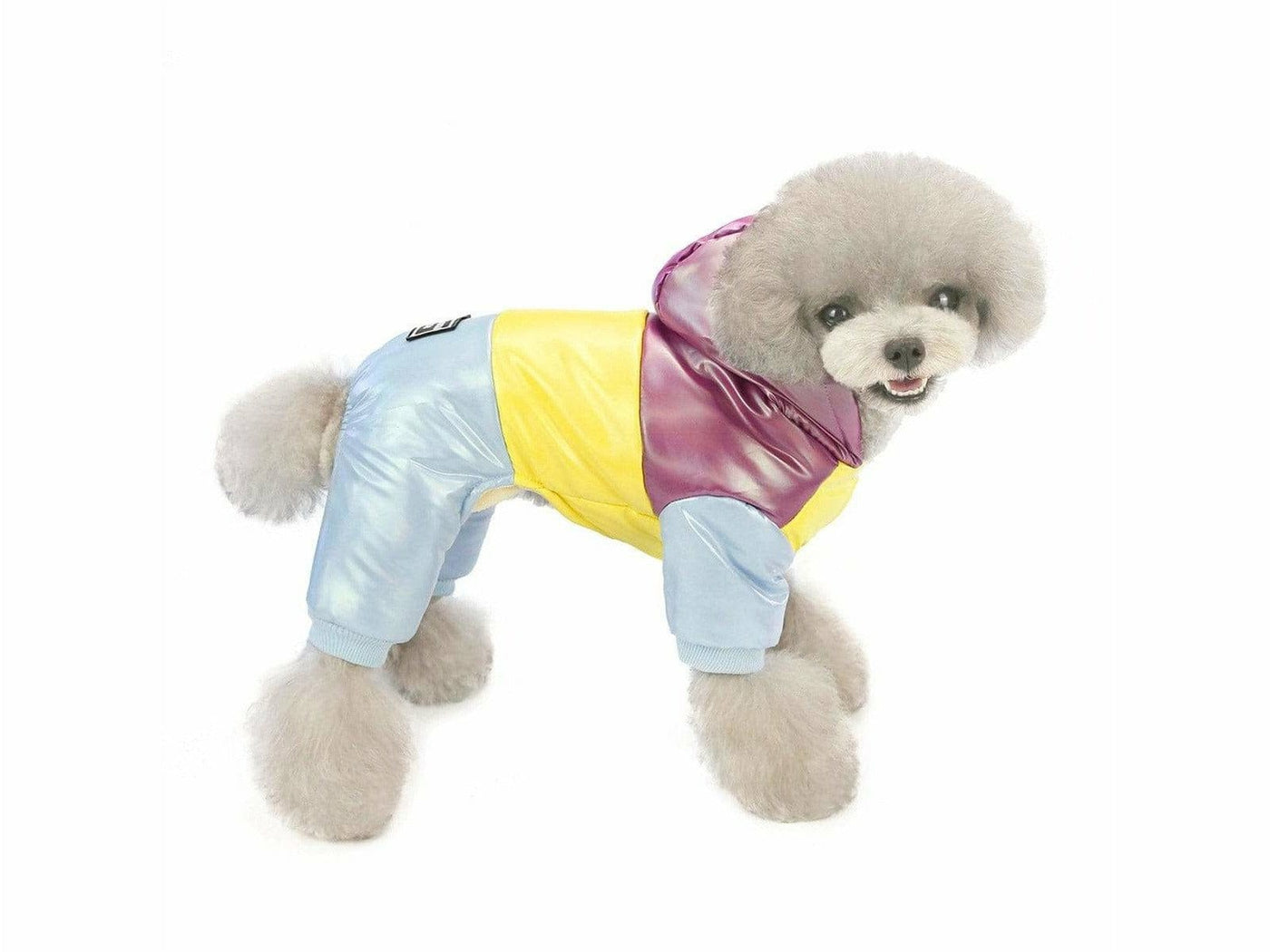 dog clothes Purple L AWYP-6