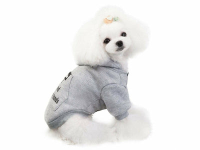dog clothes gray S 201907013