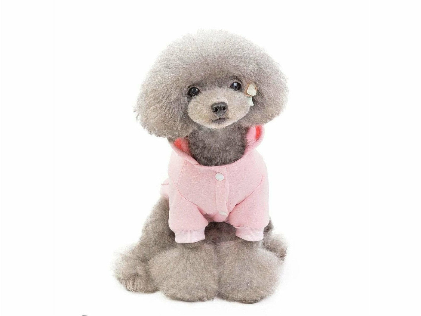 dog clothes Pink S 201907013