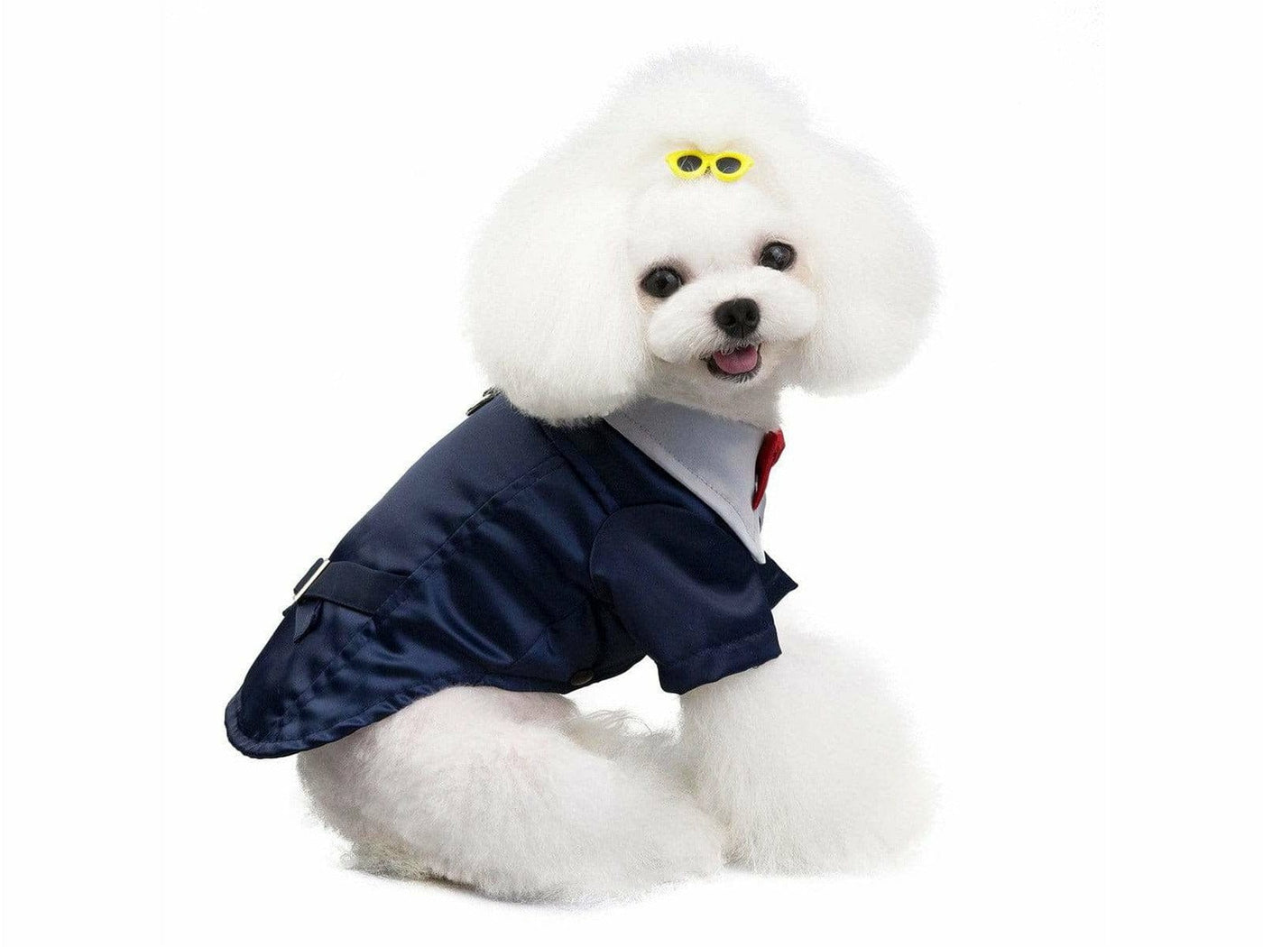 ملابس الكلاب ازرق L 201907015