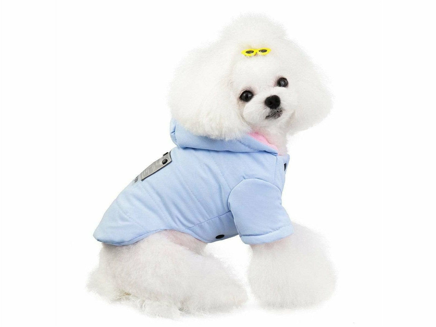 dog clothes blue L 201907026