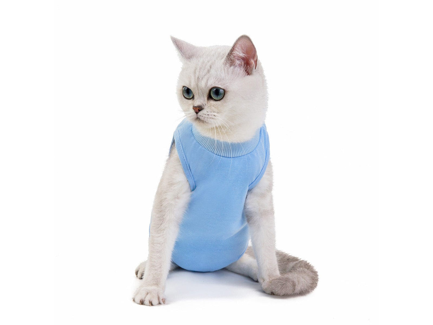 Cat Clothes Type 16