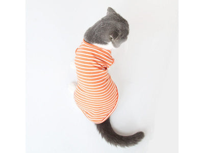 ملابس القطط نوع 10