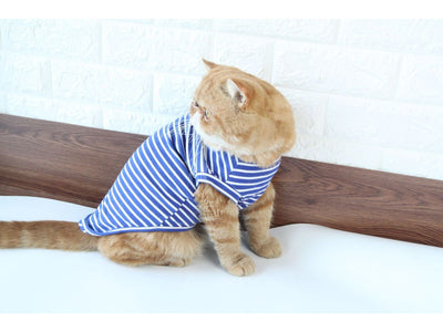 Cat Clothes Type 10