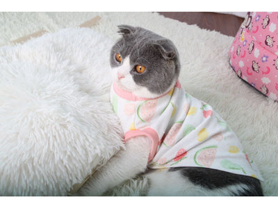 Cat Clothes Type 11