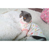 Cat Clothes Type 11