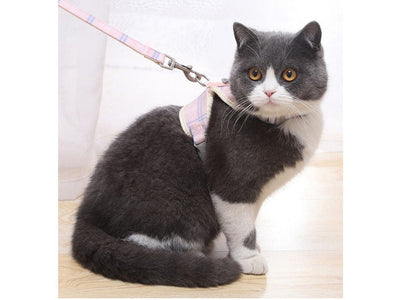 Cat Harness