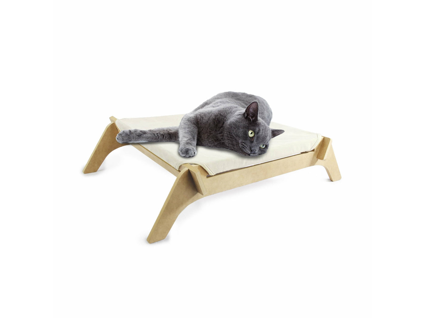 Classic Comfort-Cat Lounge