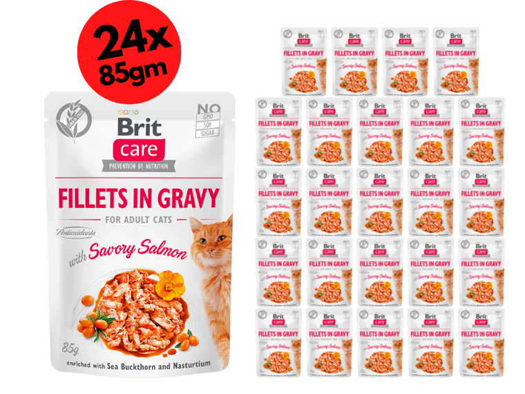 Brit Care Cat Fillets in Gravy with Savory Salmon 24x85g