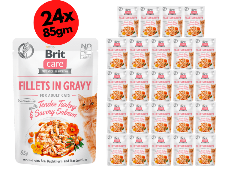 Brit Care Cat Fillets in Gravy with Tender Turkey & Savory Salmon 24x85g