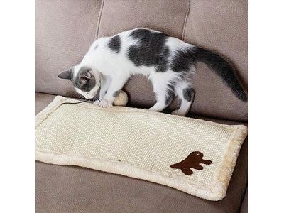 Pa 5616 Carpet Cat Scraper