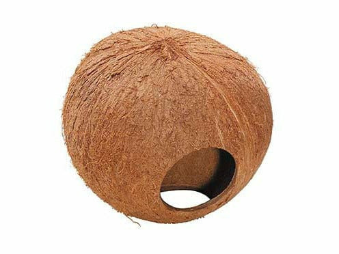 COCONUT GLOBEHOUSE 130MM