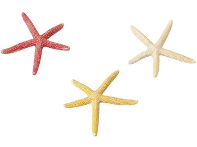 Starfish Mix