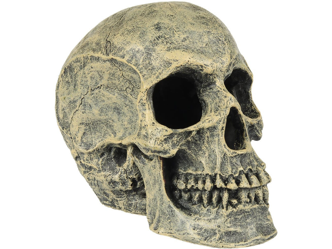 Skull Head 16x10,5x13,2cm