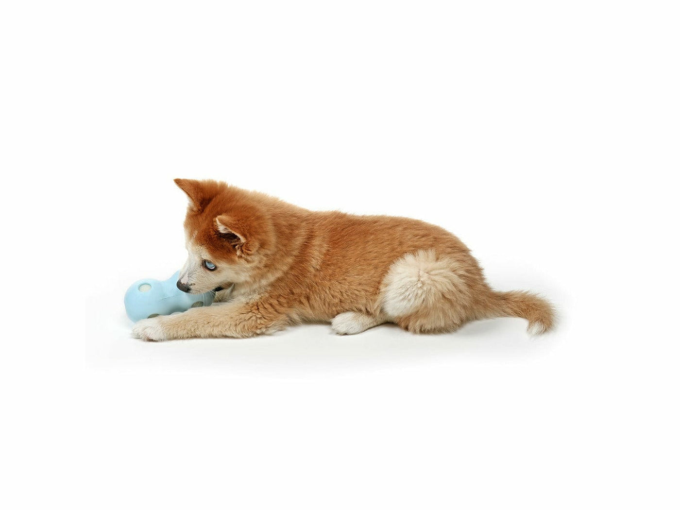 PETIT WATER CHEW TOY COCO 12x6x6cm blue