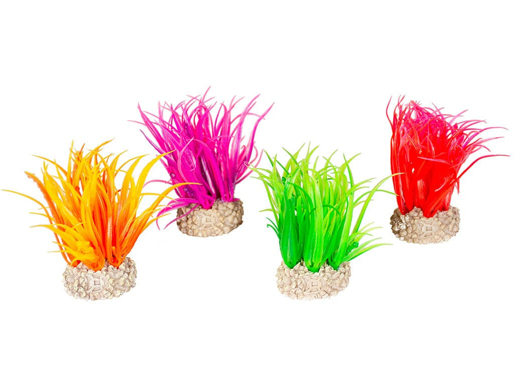 Plant Hair Grass S - Height 6Cm Mixed Colors
