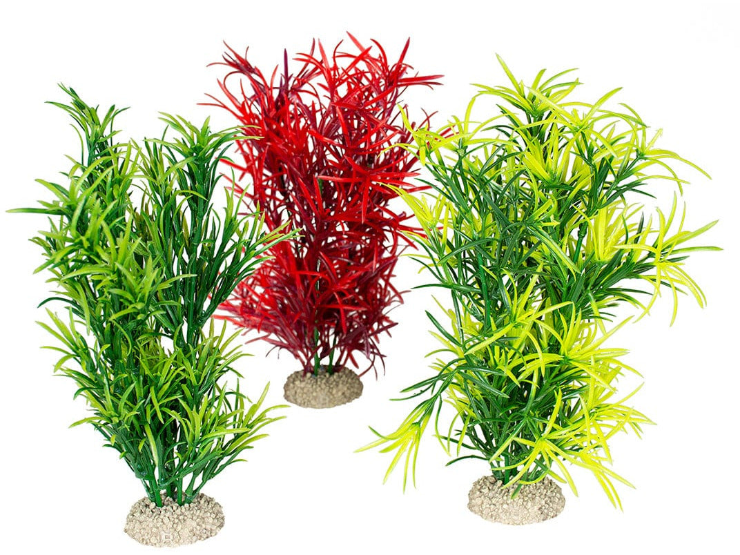 Plant Hydrilla L - Height 27Cm Mixed Colors1