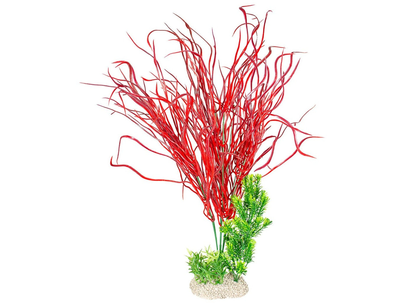 Plant Lily Grass Xl - Height 50Cm Mixed Colors