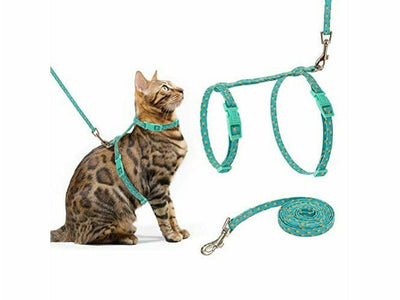 CATOGO Cat Harness & Leash Set -  Blue