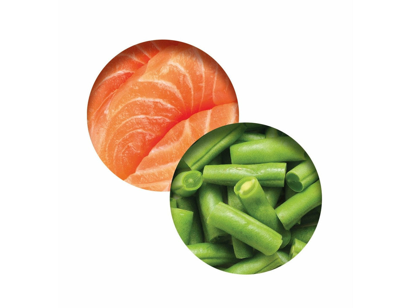 Catit Fish Dinner, Salmon & Green Beans 80 g, 6pcs/box