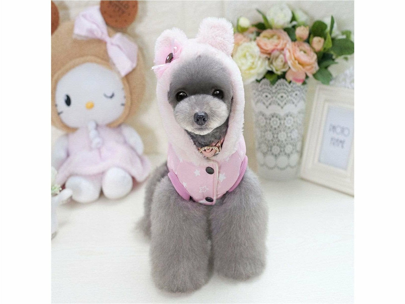 dog clothes Pink S A713-1