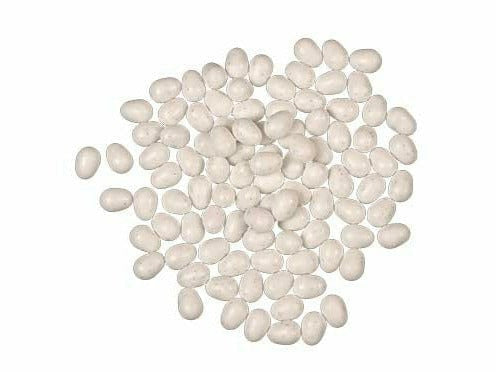 DUMMY EGGS CANARY FINCHES WHITE 100PC