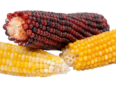 Corn Cob Mix 3St