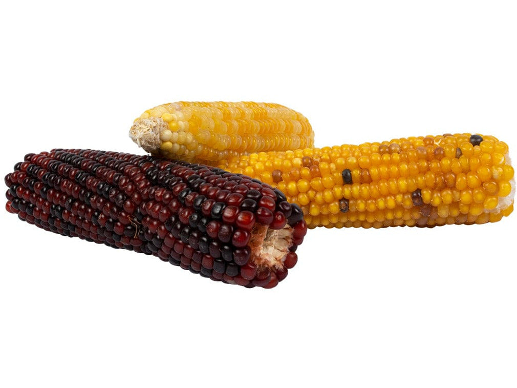 Mini Corn Cob Mix