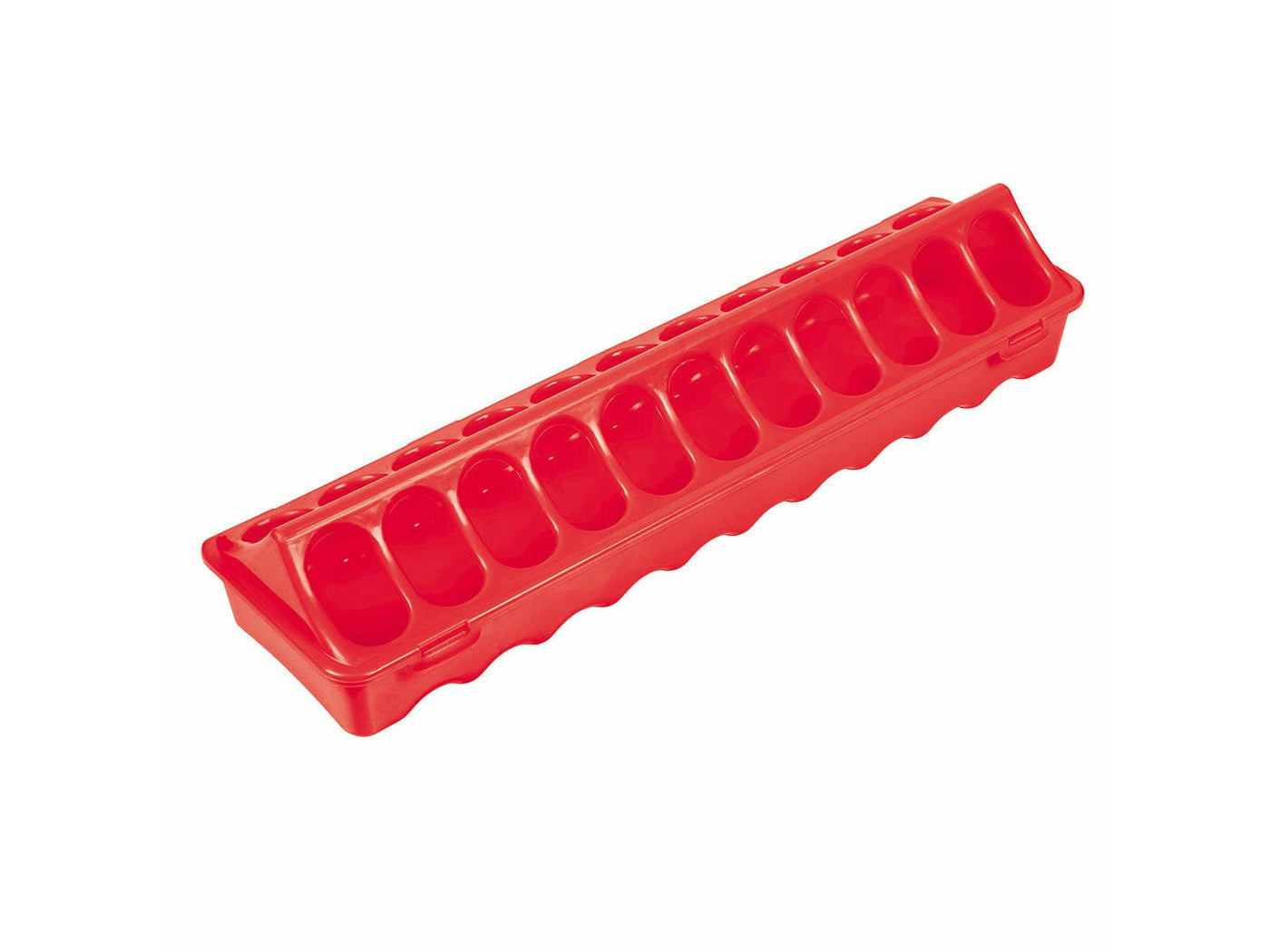 PLASTIC CHICK FEEDER ROUND HOLES 40,5x10,5x8cm red
